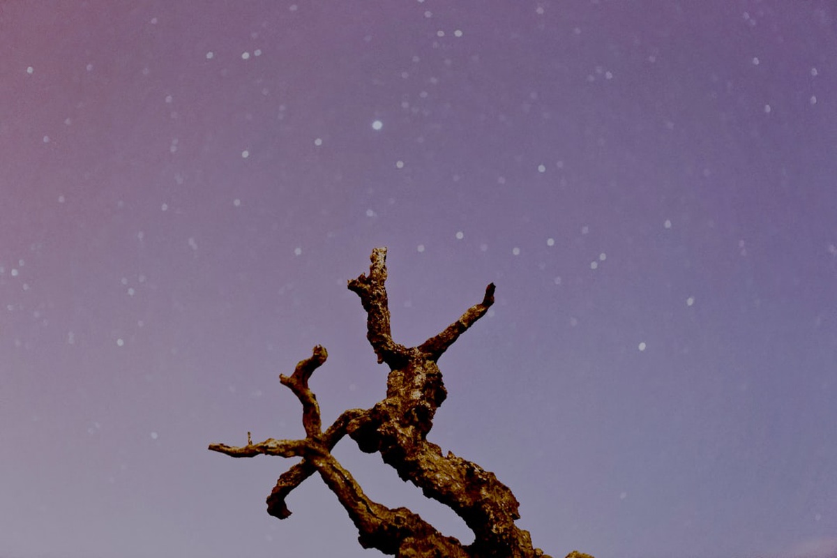 Aries and Virgo Compatibility 2026 โ Love, Friendship & Business Insights